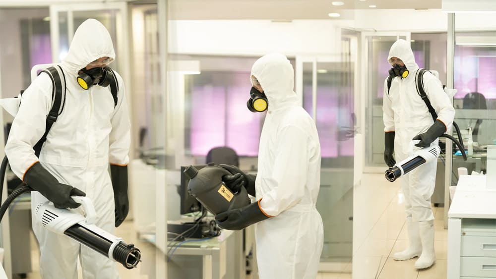 Técnicos realizando servicio de desinfección ambiental profesional en Santo Domingo - Servicios Salper